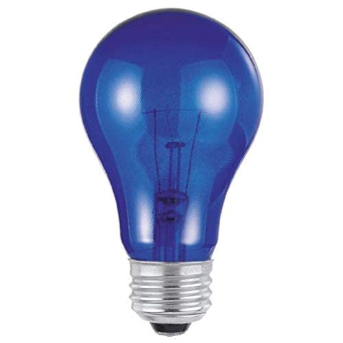 Westinghouse 25 watts A19 A-Line Incandescent Bulb E26 (Medium) Blue 1 pk