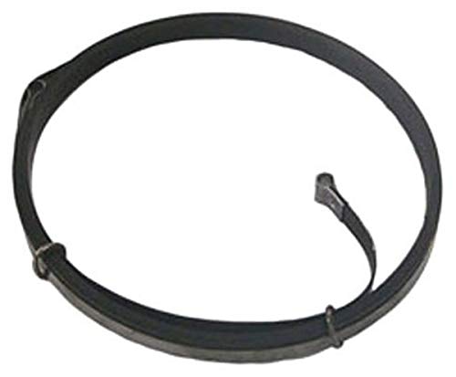Sierra International 18-6501 Marine Rewind Spring for Johnson/Evinrude Outboard Motor, white